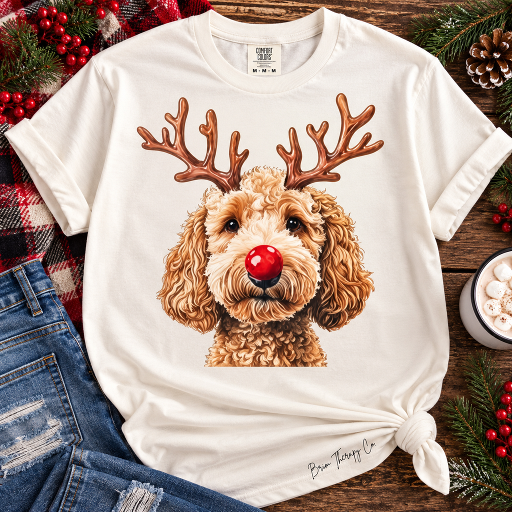 Rudolph Christmas Doodle Graphic Tee