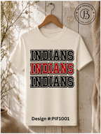 Plainview School Spirit
